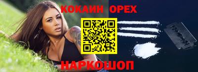 стафф Кандалакша