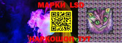 стафф Кандалакша