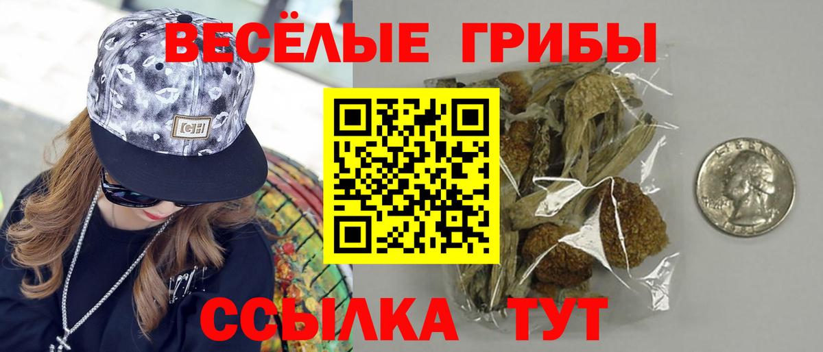 Галлюциногенные грибы мицелий Лабинск