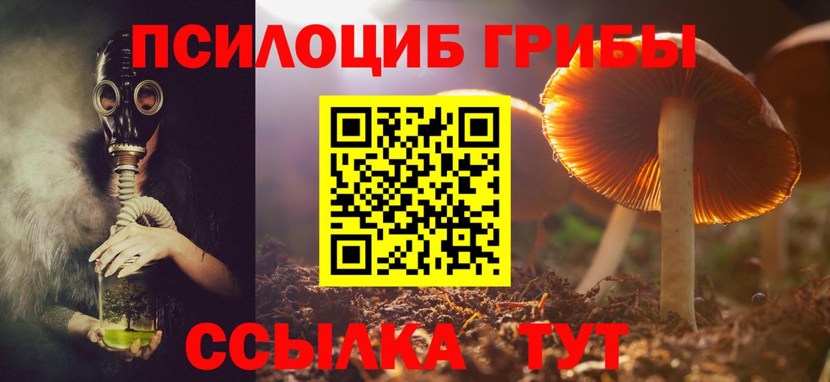 Лабинск  купить наркотик  Вход с VPN  Псилоцибиновые грибы Cubensis  Галлюциногенные грибы MAGIC MUSHROOMS 
